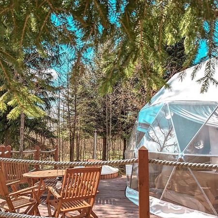 Отель Medve Dome - Luxury Camping In The Middle Of Nature Влэхица Экстерьер фото