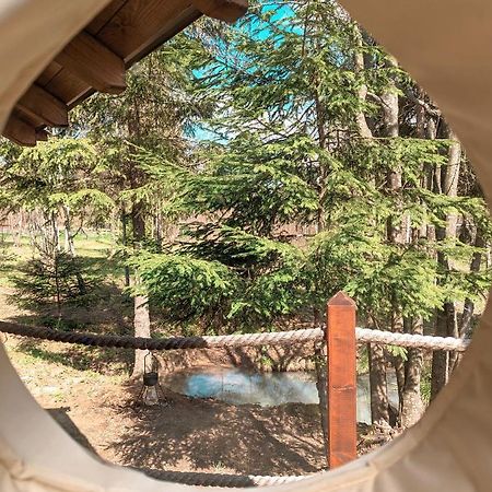 Отель Medve Dome - Luxury Camping In The Middle Of Nature Влэхица Экстерьер фото