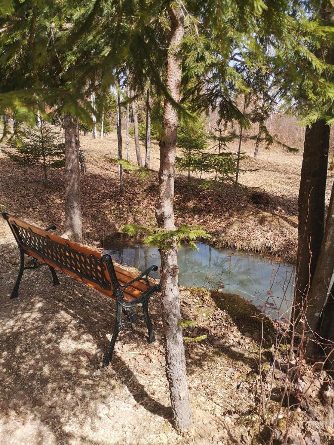 Отель Medve Dome - Luxury Camping In The Middle Of Nature Влэхица Экстерьер фото
