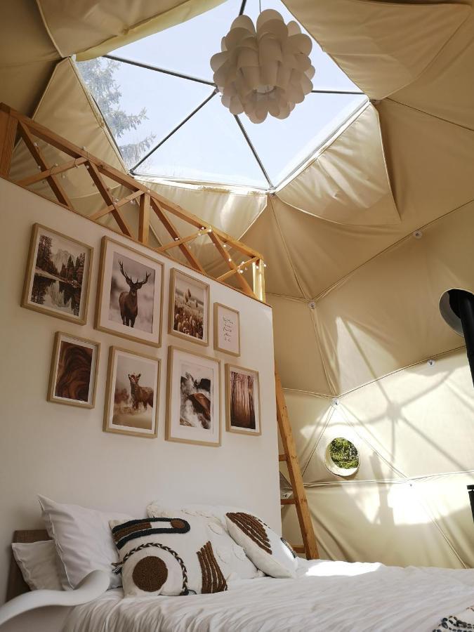 Отель Medve Dome - Luxury Camping In The Middle Of Nature Влэхица Экстерьер фото