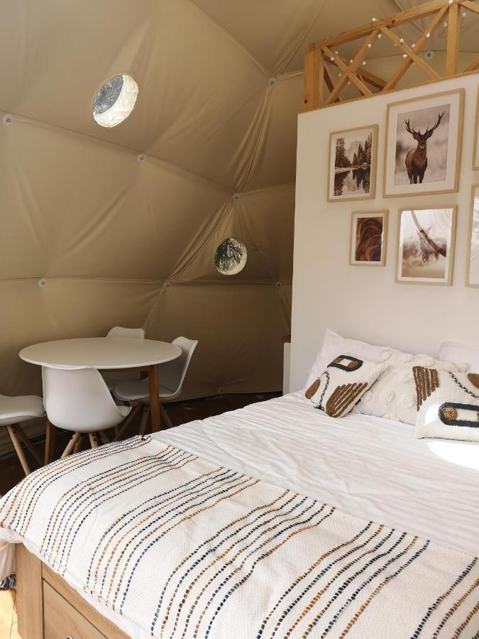 Отель Medve Dome - Luxury Camping In The Middle Of Nature Влэхица Экстерьер фото