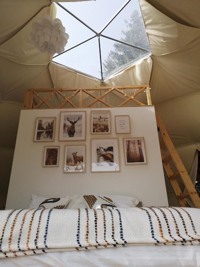 Отель Medve Dome - Luxury Camping In The Middle Of Nature Влэхица Экстерьер фото