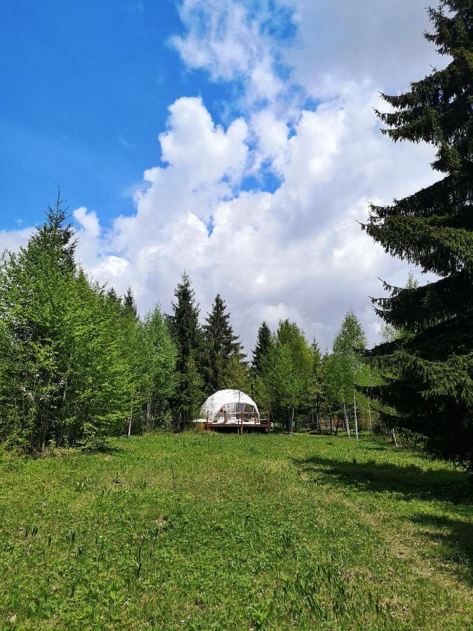 Отель Medve Dome - Luxury Camping In The Middle Of Nature Влэхица Экстерьер фото