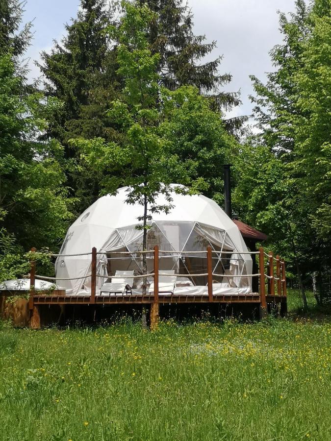 Отель Medve Dome - Luxury Camping In The Middle Of Nature Влэхица Экстерьер фото
