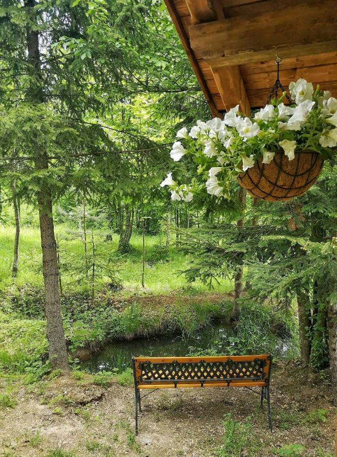 Отель Medve Dome - Luxury Camping In The Middle Of Nature Влэхица Экстерьер фото